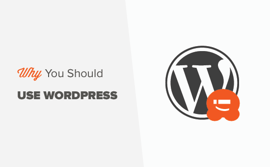 Important Reasons Why You Should Use WordPress for Your Website